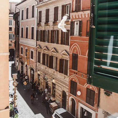 Nikis Collection Navona